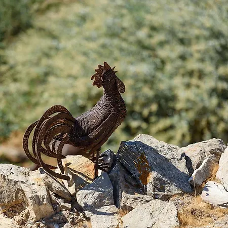 Iparenia * Χρυσή Ακτή